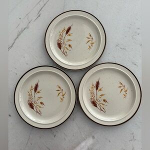 Anchor Hocking Kansas stoneware salad plates made in Japan. Set of 3